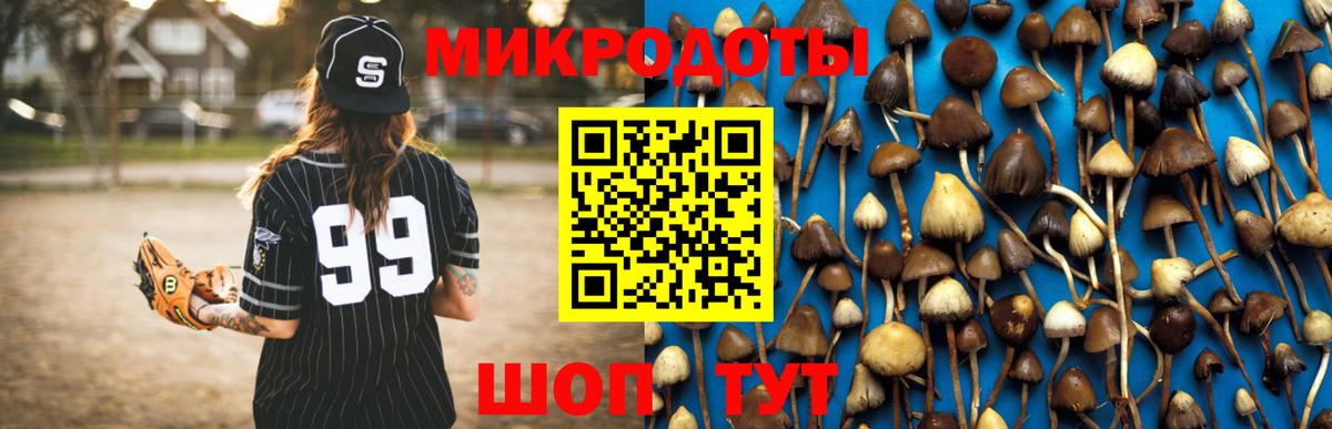 Псилоцибиновые грибы мицелий  Вход с VPN  Череповец  Галлюциногенные грибы мицелий 